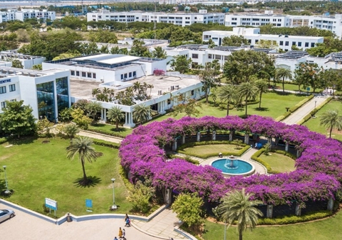 Learning Oasis-Journey of SSN